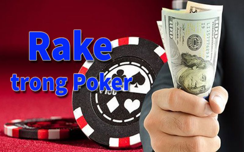Giải đáp chi tiết: "Rake là gì trong poker?" 5 Đối với người thua cuộc thì Rake không có gì ảnh hưởng