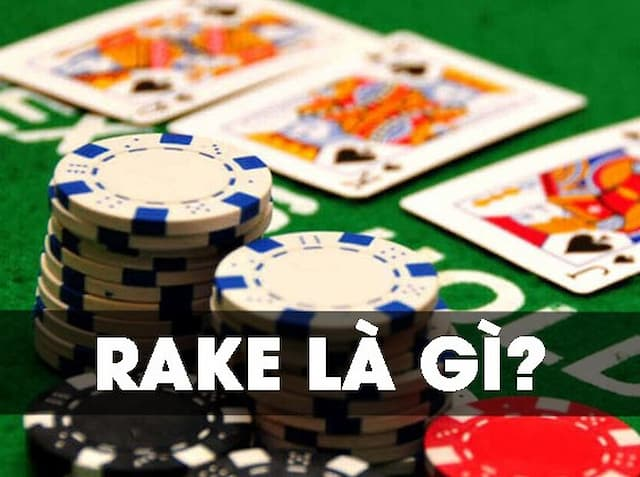 Giải đáp chi tiết: "Rake là gì trong poker?" 4 Giải đáp thắc mắc Rake là gì trong poker?